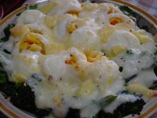 ���܂��O���^���̎ʐ^